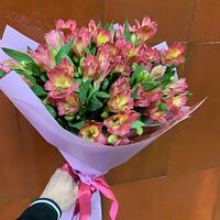 Изображение 5