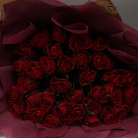 Изображение 7