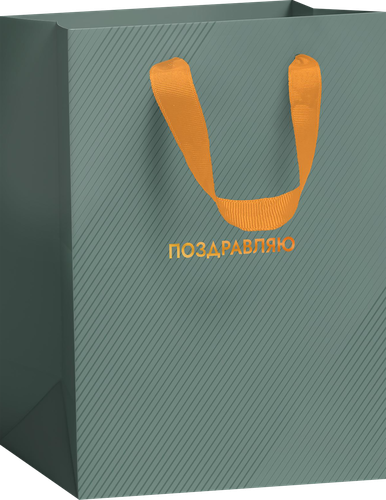 

Пакет подарочный City Home Trade Special Men 22.7 x 18 x 10 см 1 шт.