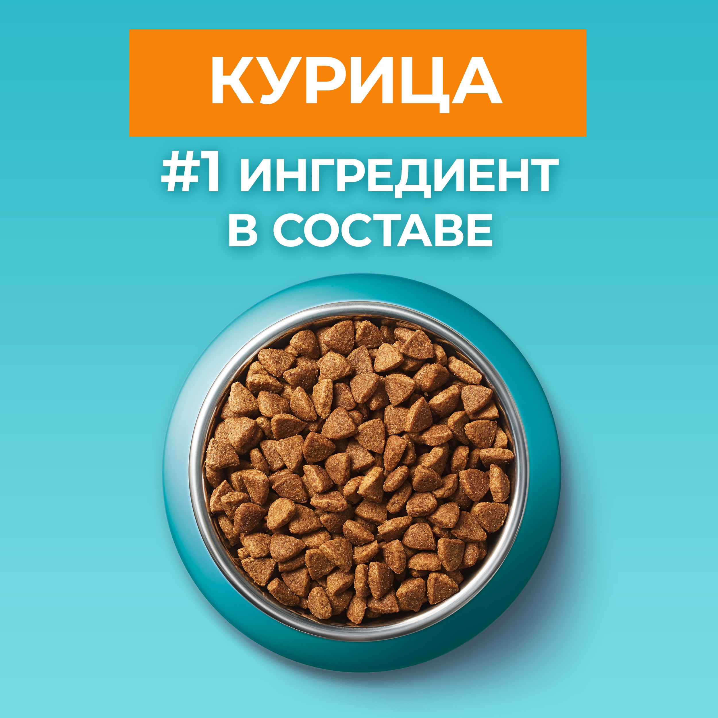 

Сухой полнорационный корм для взрослых кошек Purina One с высоким содержанием курицы 9.75 кг