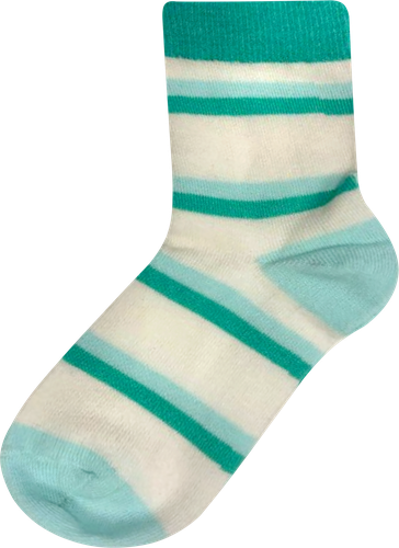 

Носки детские Inwin Капибары р. 14–22 5 пар ассорти