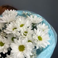 Изображение 7