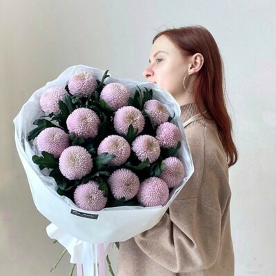 15 розовых хризантем сорт мамокко
