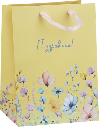 

Пакет подарочный City Home Trade Home spring 22.7 х 18 х 10 см эффект 1 шт.