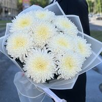 Изображение 8