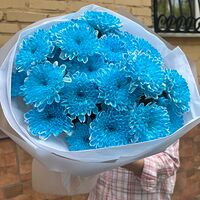 Изображение 5