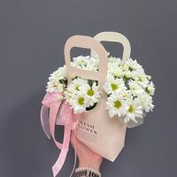 Изображение 4