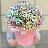 Изображение 5