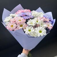 Изображение 3