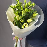Изображение 2