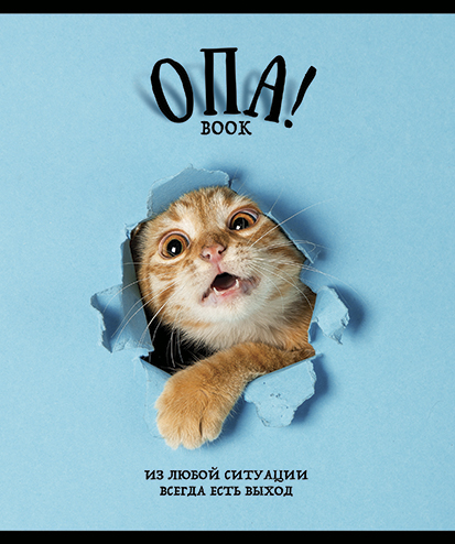 

Тетрадь общая ПЗБМ Опа! 48 листов в клетку А5 1 шт. дизайн в ассортименте