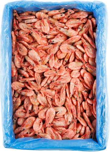 

Креветки северные Шифудо варено-мороженые 150+ 4 кг