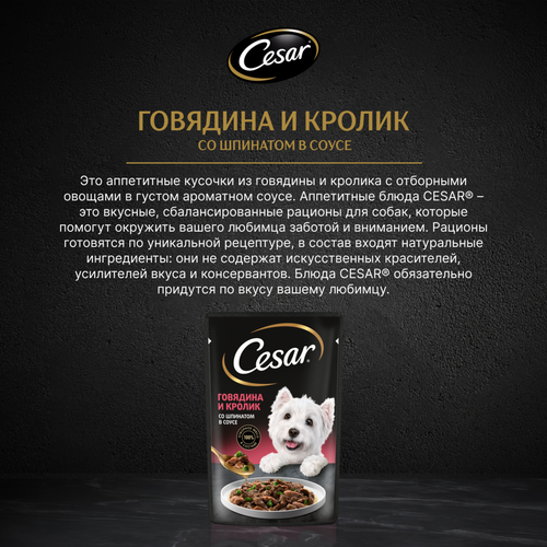 

Влажный корм Cesar для взрослых собак с говядиной, кроликом и шпинатом в соусе 85 г