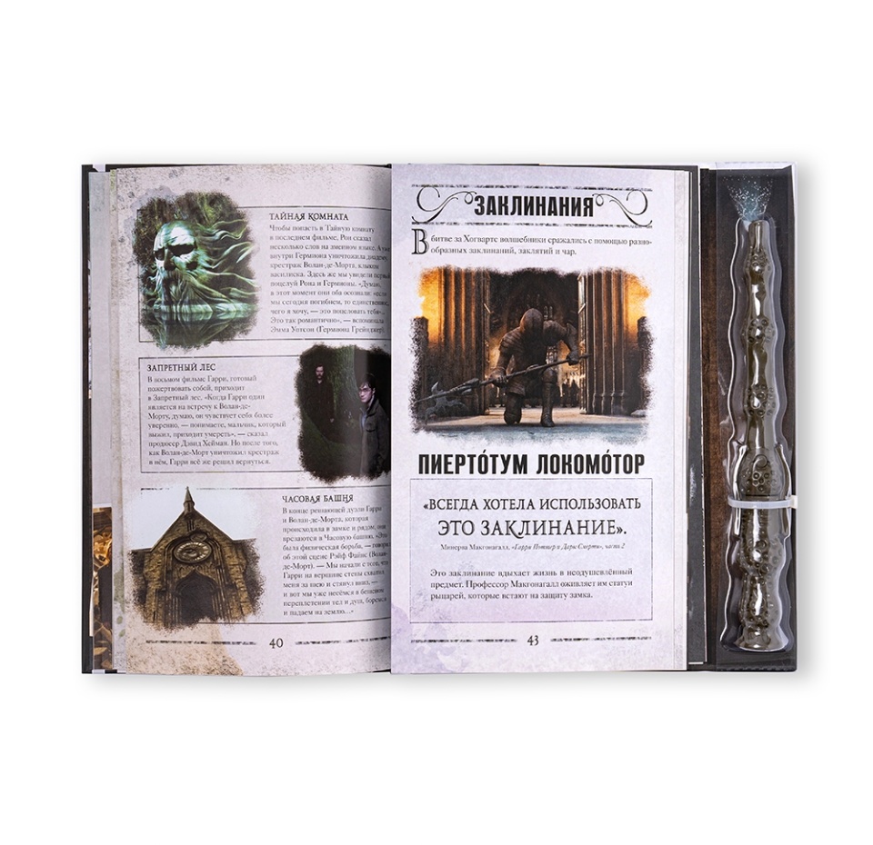 

Книга Гарри Поттер. Битва за Хогвартс (с волш. палочкой)