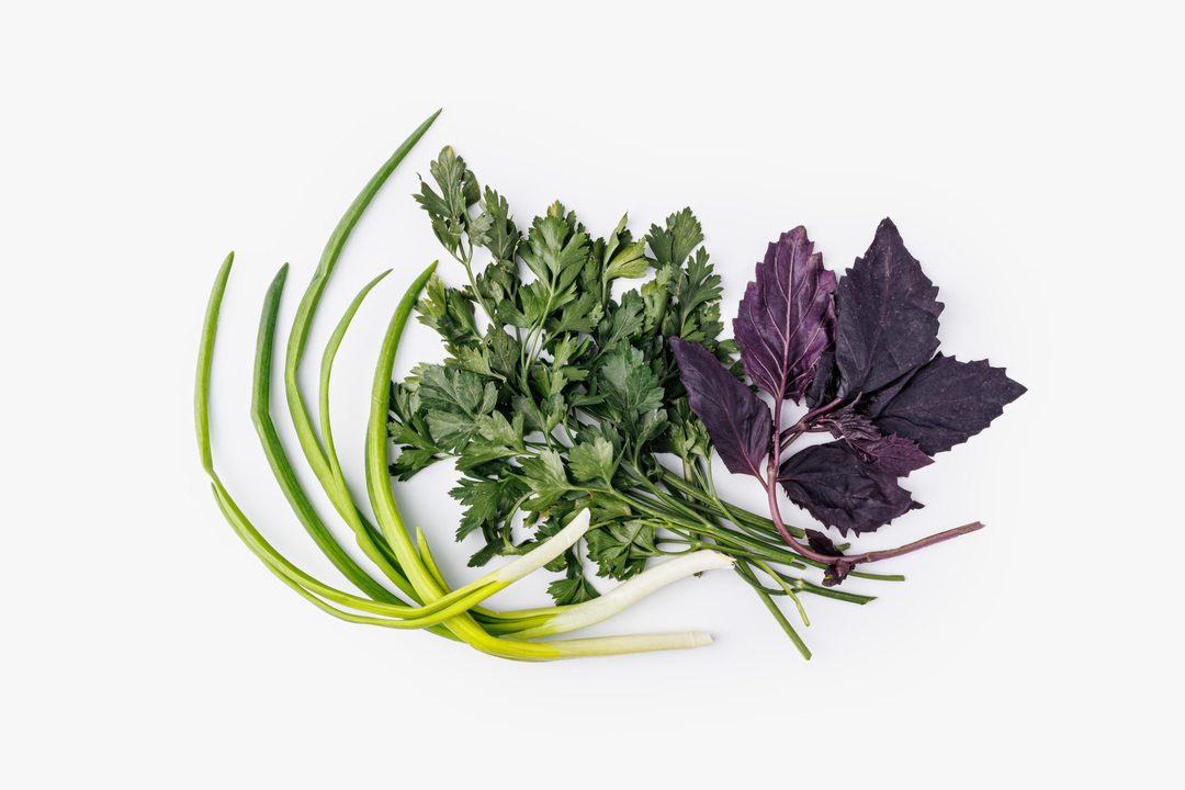 

Микс из базилика петрушки лука зеленого 75 г