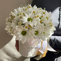 Изображение 3