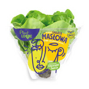 Салат Plant love маслянистый свеж 250 г в горшочке