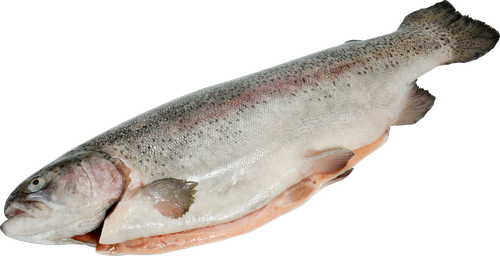 

Форель охлажденная Остров Горная потрошеная с головой, весовая