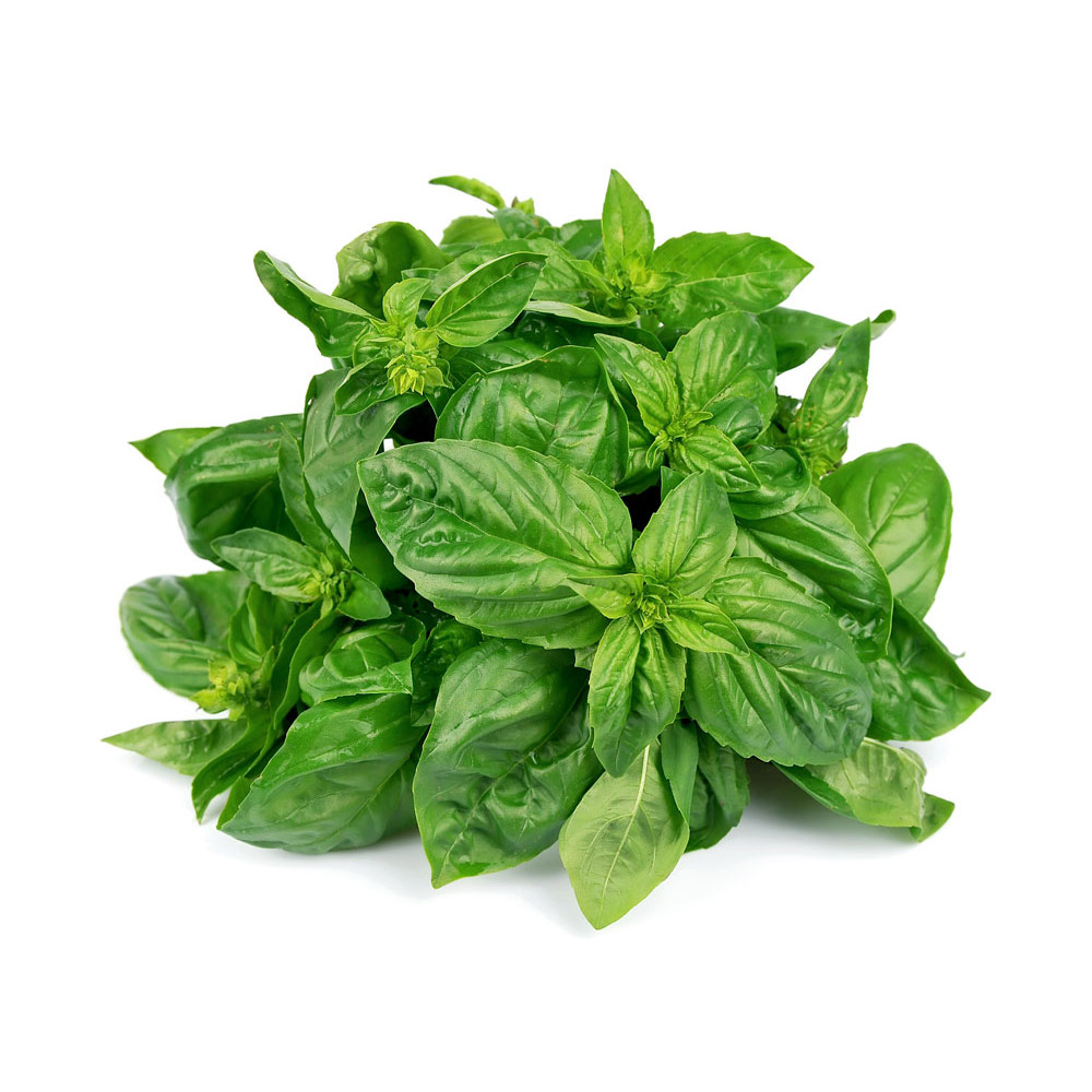 

Базилик зеленый свежий вес