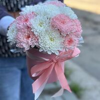 Изображение 4