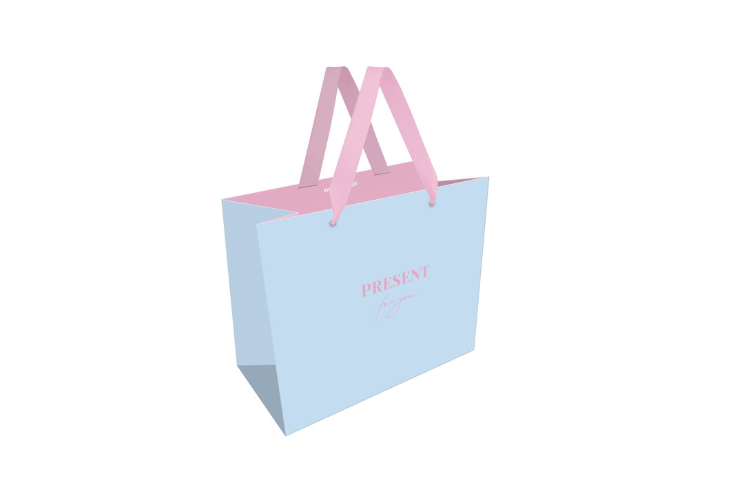 

Пакет подарочный Meshu Monochrome Blue 32 х 26 х 12 см