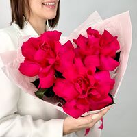 Изображение 3
