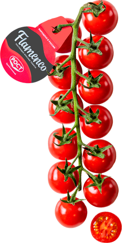 

Томаты черри красные Рост Фламенко на ветке вес