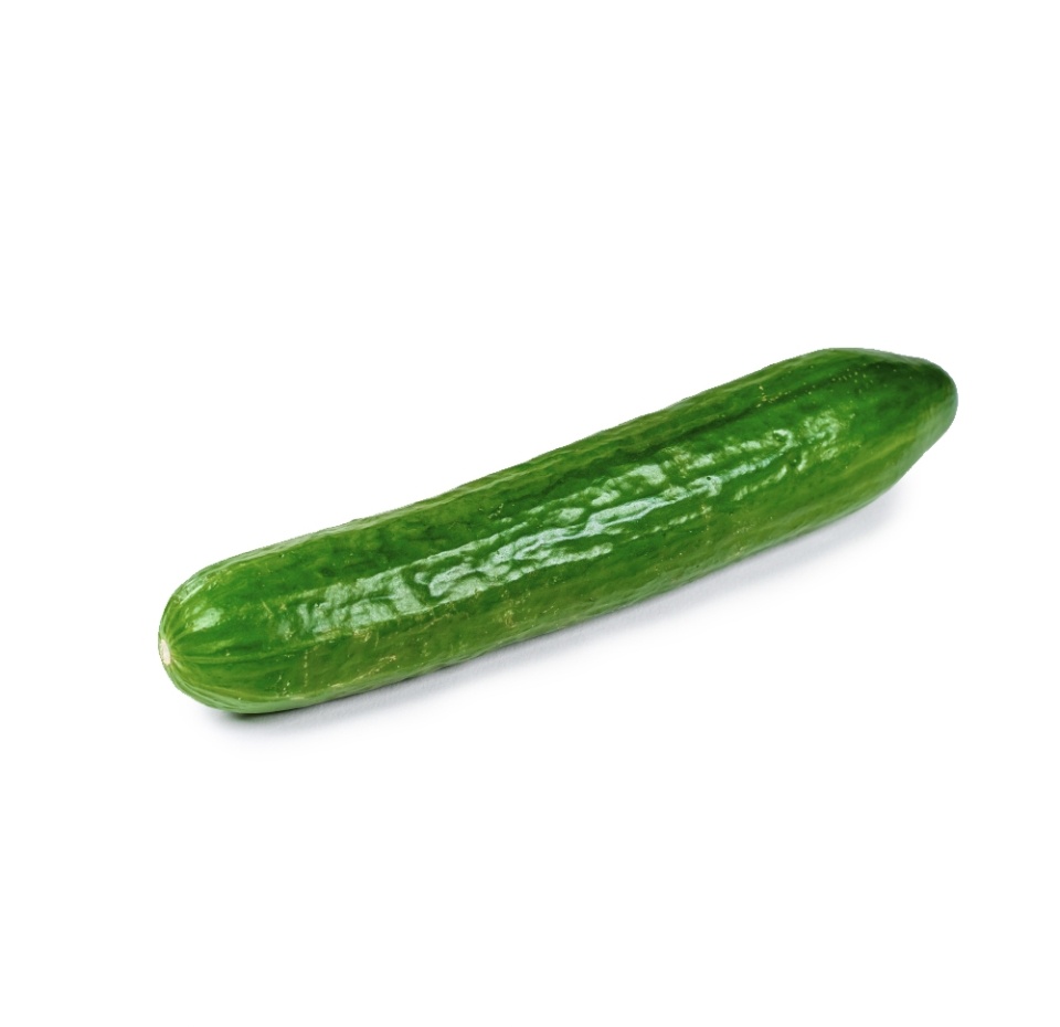 

Огурцы среднеплодные гладкий Луховицкий