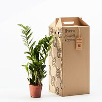 Изображение 3