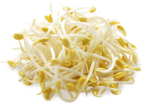 

Проростки Золотистая фасоль (маш), 150г