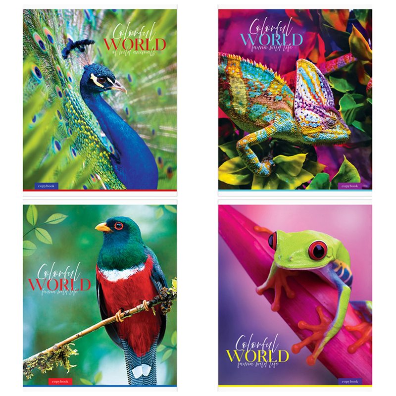 

Тетрадь ArtSpace Животные Colorful world А5 48 листов в клетку 1 шт. дизайн в ассортименте