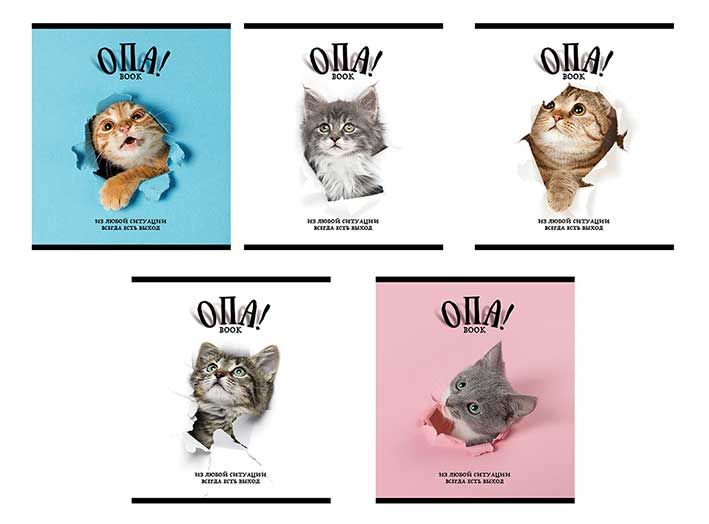 

Тетрадь общая ПЗБМ Опа! 48 листов в клетку А5 1 шт. дизайн в ассортименте