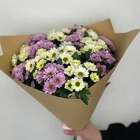 Изображение 2