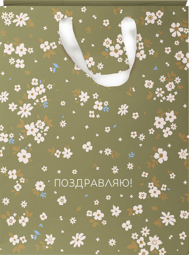 

Пакет подарочный City Home Trade Вишневая Леди (Cherry Lady) 22.7 х 18 х 10 см 1 шт. дизайн в ассортименте