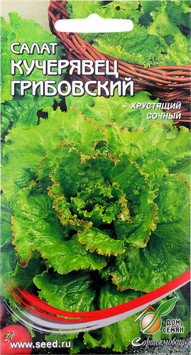 

Семена Дом семян Салат Кучерявец Грибовский 0.6 г