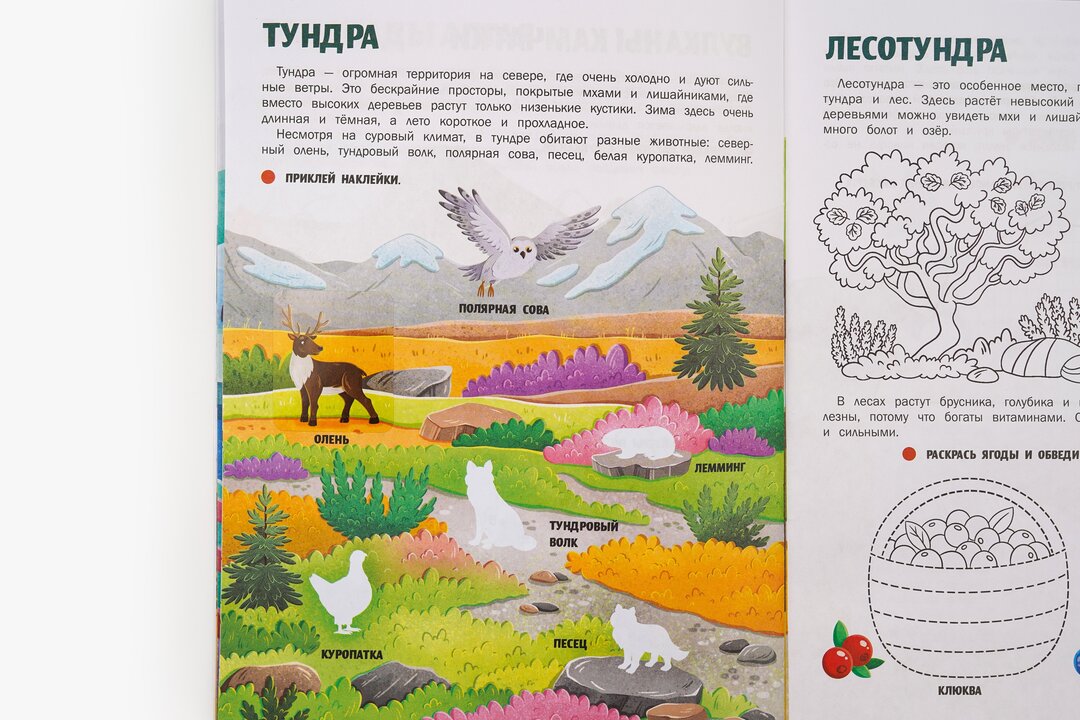 

Природа России. Моя большая страна. Борода Жанна