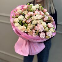 Изображение 3