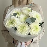 Изображение 4