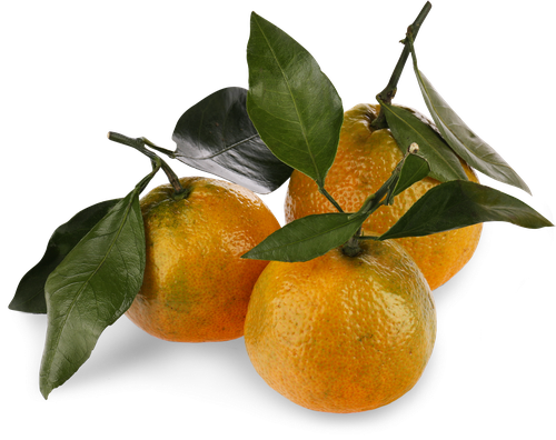 

Мандарин с листом 700 г