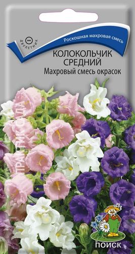 

Семена Поиск Колокольчик средний Махровый смесь окрасок 100 шт.