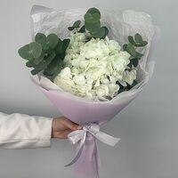 Изображение 8