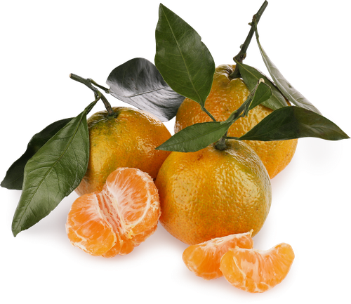 

Мандарин с листом 700 г