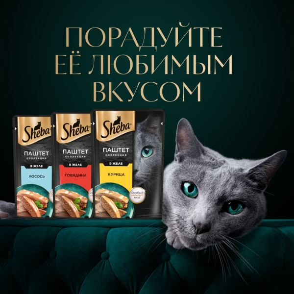 

Влажный корм для кошек Sheba паштет с курицей 75 г