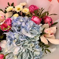 Изображение 11