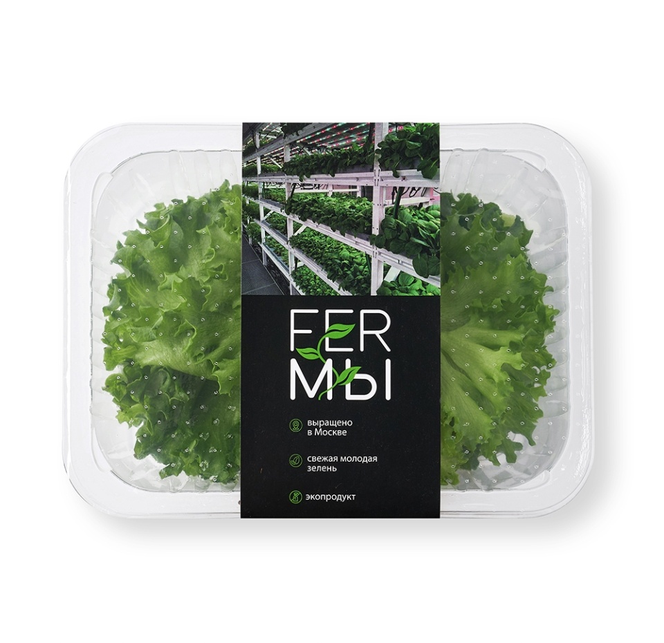 

Салат Айсберг Ferмы листовой в срезе 75 г