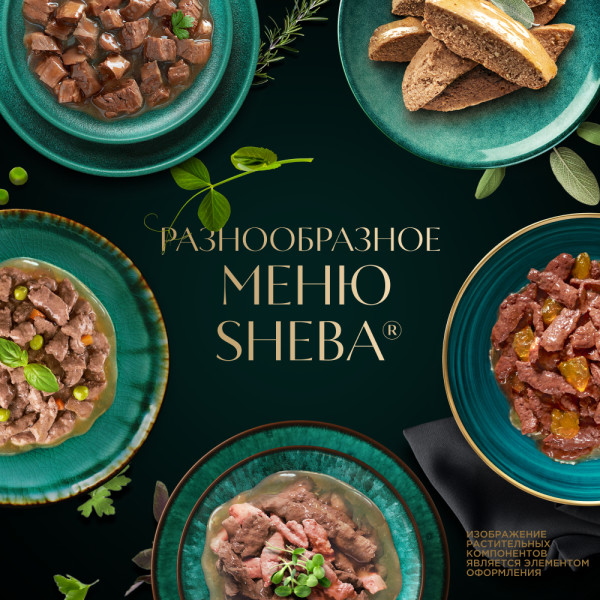 

Влажный корм для кошек Sheba паштет с курицей 75 г