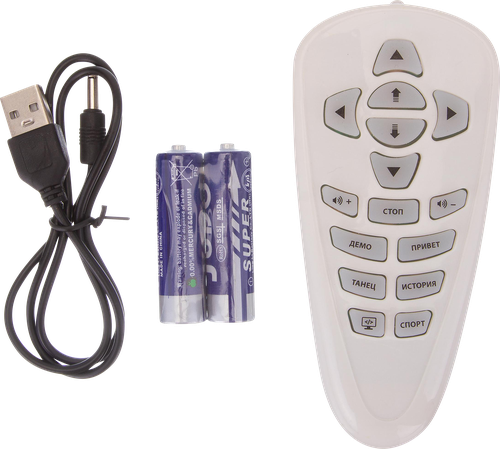 

Робот BeBoy Стар радиоуправляемый IT108859