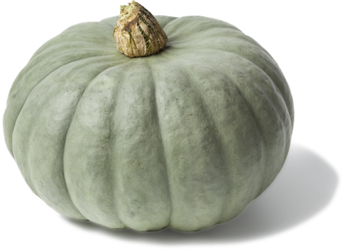 

Тыква Серая Мускат вес