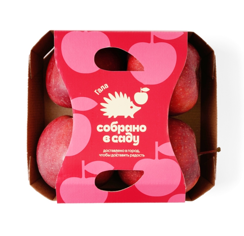 

Яблоки Гала Собрано в саду 4 шт.