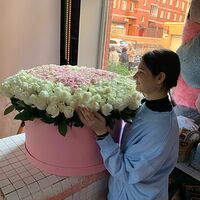 Изображение 8
